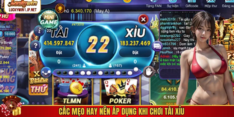 Các mẹo hay nên áp dụng khi chơi tài xỉu Các mẹo hay nên áp dụng khi chơi tài xỉu